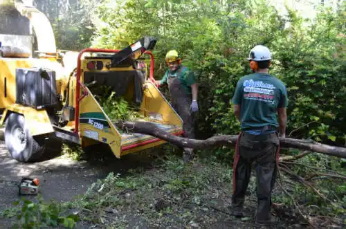 tree services Fort Wayne